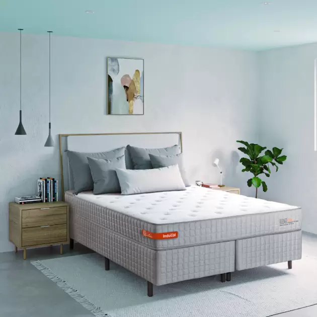 WELLNESS I436 SOLTERIO