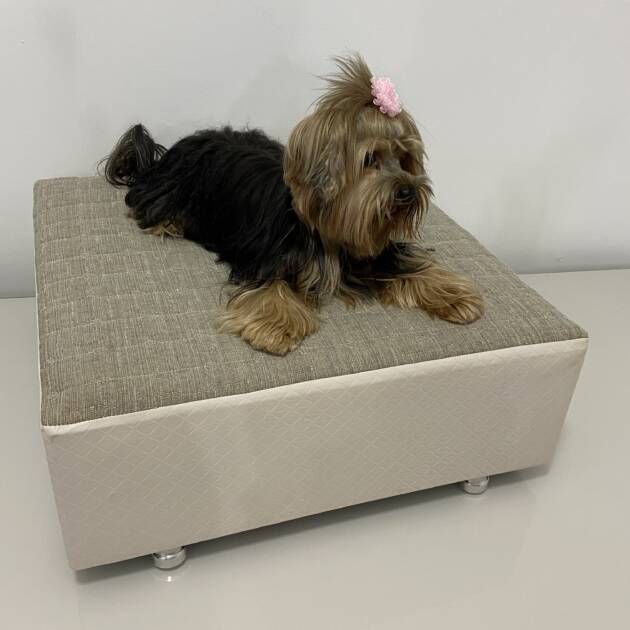 CAMA BASE PET BOX